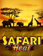 sbobet ไม ม ให แทง: วิธีเล่นที่ควรรู้